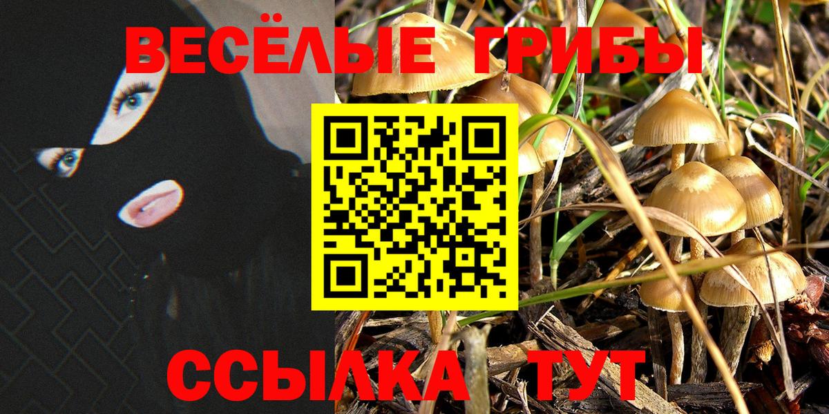 Галлюциногенные грибы GOLDEN TEACHER  закладка  Великий Устюг  Вход с VPN  Галлюциногенные грибы мухоморы 